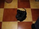 Андрей Лисицын фотография #30 (источник - https://vk.com/id30615507)