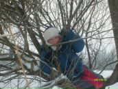 Фотография Цыплёнкова Владислава