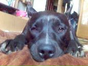 Тетяна Ємельянова фотография #23 (источник - https://vk.com/id12686786)