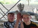 Вася Цвілюк фотография #2 (источник - https://vk.com/id131575824)