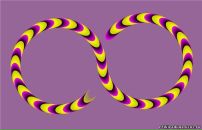 Міша Ласка фотография #2 (источник - https://vk.com/id32950794)