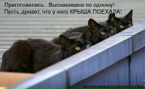 Иришка Венцова фотография #14 (источник - https://vk.com/id4664078)