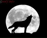 Ігор Кіцела фотография #27 (источник - https://vk.com/id11934675)