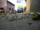Ігор Кіт фотография #14 (источник - https://vk.com/id9677129)