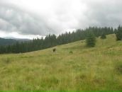 Юрій Осіпчук фотография #50 (источник - https://vk.com/id1744459)