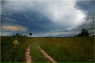 Илья Ван-Заам фотография #45 (источник - https://vk.com/id906317)