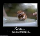 Міша Влащук фотография #36 (источник - https://vk.com/id109390533)