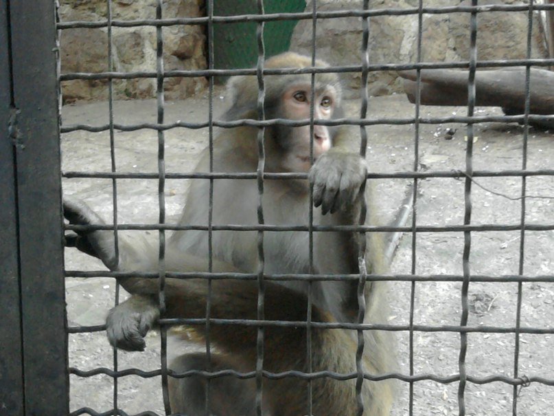 Коля Приходько фотография #5