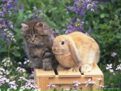 Фотография Ширина Никиты