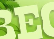 Роман Стеців фотография #9 (источник - https://vk.com/id87982246)