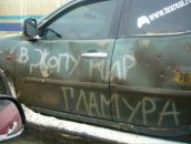 Фотография Викторовны Ксении