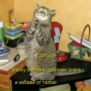Юра Шідловський фотография #14 (источник - https://vk.com/id51249640)
