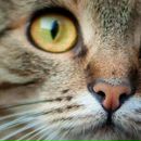 Фотография Волобуевой Юлии