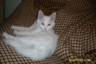 Фотография Файзуллиной Гульнары