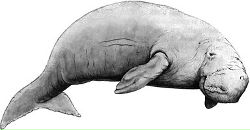 Фотография Костроминой Ольги