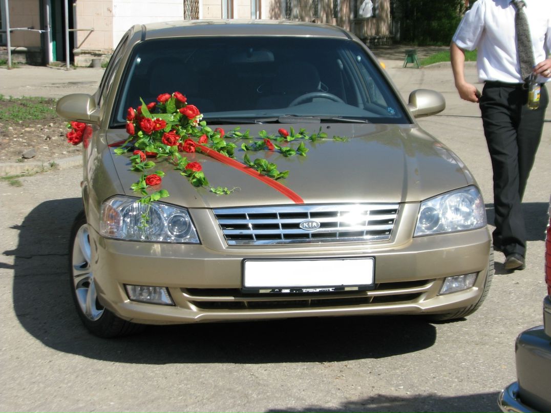 Антон Волков фотография #2