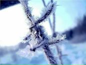 Даша Штіль фотография #47 (источник - https://vk.com/id49061669)