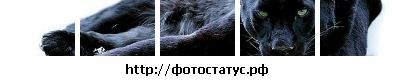 Nazar Андрушків фотография #3 (источник - https://vk.com/id33992617)
