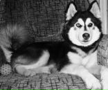 Фотография Кряжевой Ольги