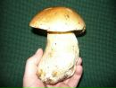 Віталій Шенюк фотография #11 (источник - https://vk.com/id80637141)