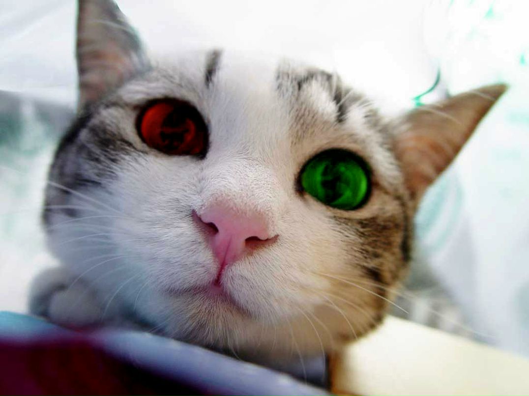 Сергей Каскин фотография #14