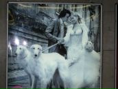 Дмитрий Рафальский фотография #31 (источник - https://vk.com/id36050141)