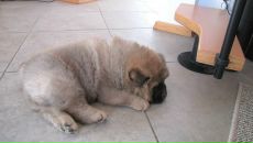 Сергей Никитин фотография #37 (источник - https://vk.com/id1499985)