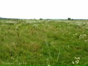 Антон Мищенко фотография #49 (источник - https://vk.com/id21482463)