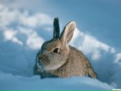 Фотография Казанцевой Натальи