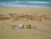 Фотография Рябчиковой Надежды