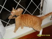 Фотография Черновой Светланы