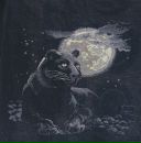 Наталія Ткачук фотография #33 (источник - https://vk.com/id18781431)