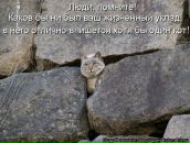 Фотография Петровой Инны