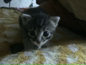 Фотография Крайковой Анастасии