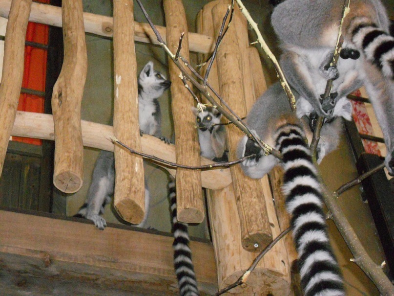 Тарас Стадник фотография #36