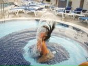 Фотография Дергалевой Екатерины