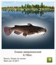 Діма Погребний фотография #41 (источник - https://vk.com/id136257164)