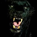 Андрій Чубак фотография #17 (источник - https://vk.com/id48389440)