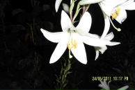 Іванна Кльоцко фотография #31 (источник - https://vk.com/id96934103)