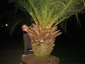 Ира Дейнес фотография #39 (источник - https://vk.com/id549765)