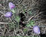 Фотография Плиткиной Марины