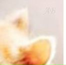 Надія Кобльовська фотография #19 (источник - https://vk.com/id150836180)