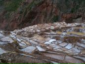 Алёна Панкина фотография #8 (источник - https://vk.com/id520903)