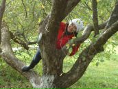 Фотография Савин Олег