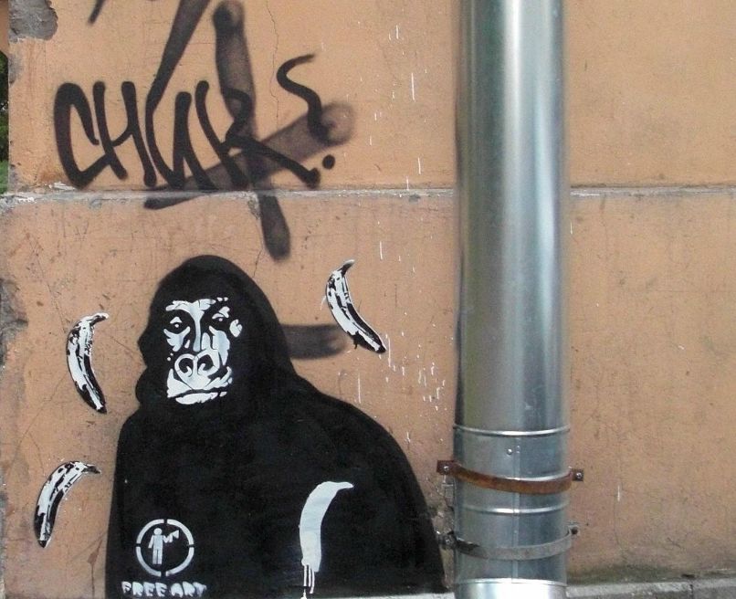 Снискто Tagging фотография #2