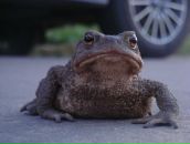 Фотография Червоткиной Татьяны