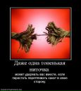 Люда Ігор періг фотография #36 (источник - https://vk.com/id134263525)