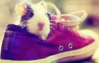 Виктория Смирнова фотография #5 (источник - https://vk.com/id37419338)