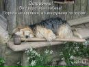 Ірина Демешкіна фотография #23 (источник - https://vk.com/id60720086)