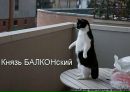 Ірина Демешкіна фотография #5 (источник - https://vk.com/id60720086)